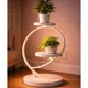Light__Owesco
